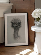 Friendly Emu Sketch