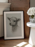 Gentle Lamb Drawing