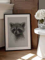 Curious Baby Raccoon