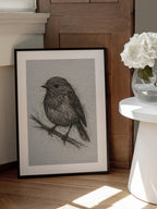 Small Bird Sketch