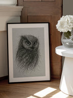 Scribbled Owl Gaze