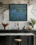 Water Lilies