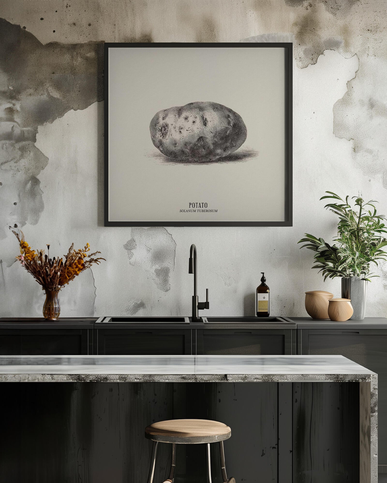 Vintage Vegetables - Potato