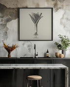 Vintage Vegetables - Leek