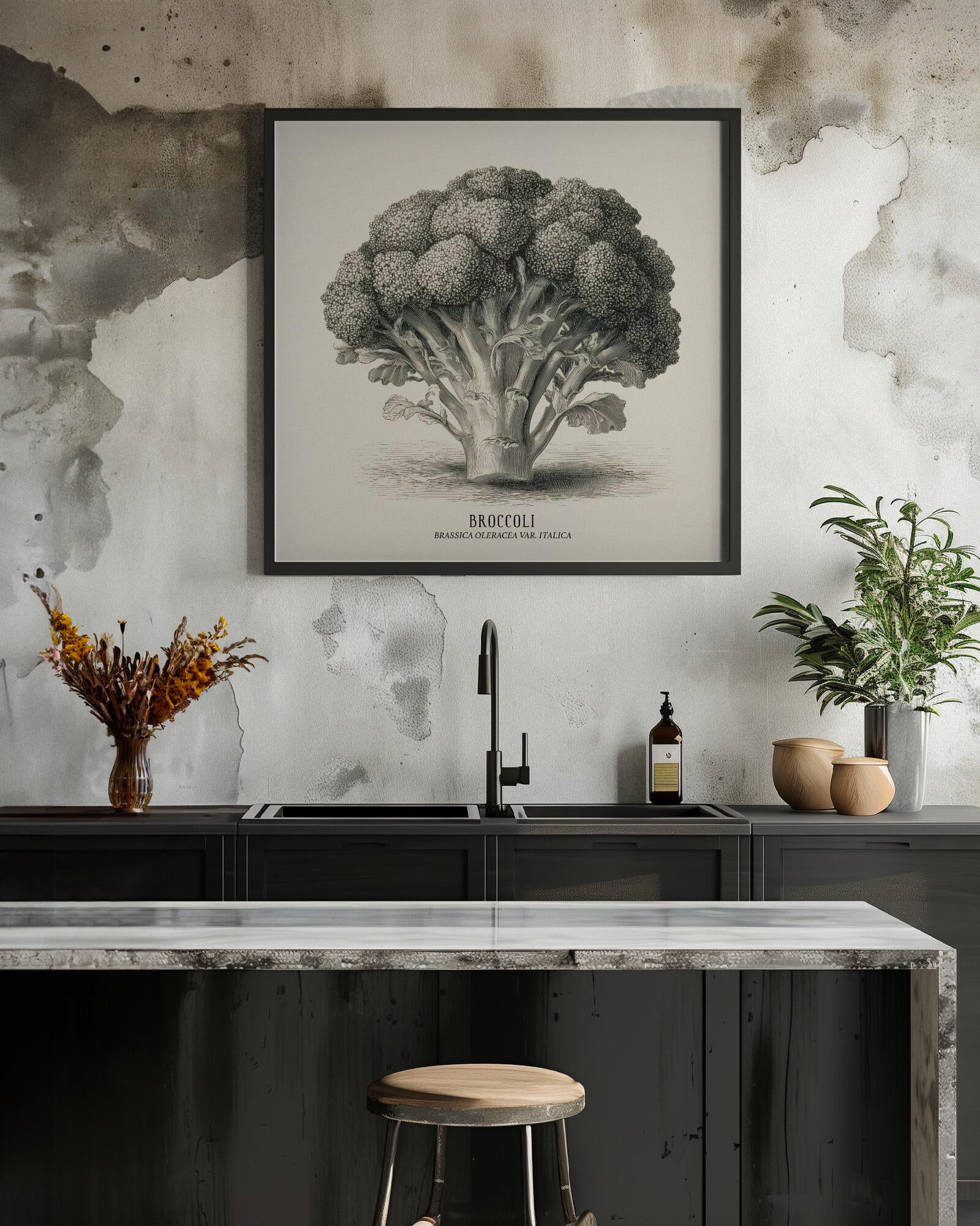 Vintage Vegetables - Broccoli