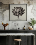Vintage Vegetables - Artichoke