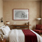 Rolled Up Lying, Sleeping Cat By Jean Bernard (1775 1883)
