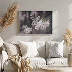 Blossoms