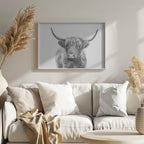 Highland Bull