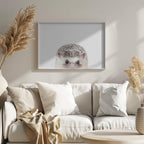 Peeking Hedgehog