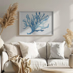 Blue Coral