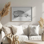 Feather
