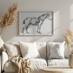 Standing Horse By Jean Bernard (1775 1883)