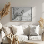Standing Mottled Horse