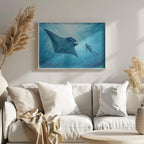 Manta Ray Encounter