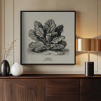 Vintage Vegetables - Spinach