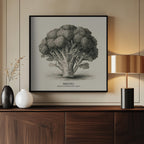 Vintage Vegetables - Broccoli