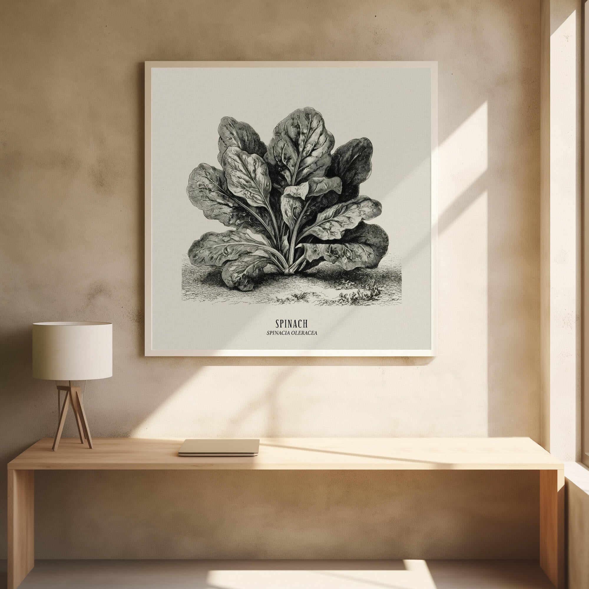 Vintage Vegetables - Spinach