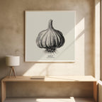 Vintage Vegetables - Garlic
