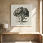 Vintage Vegetables - Broccoli