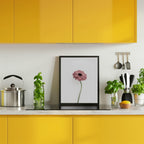 Pink Gerbera
