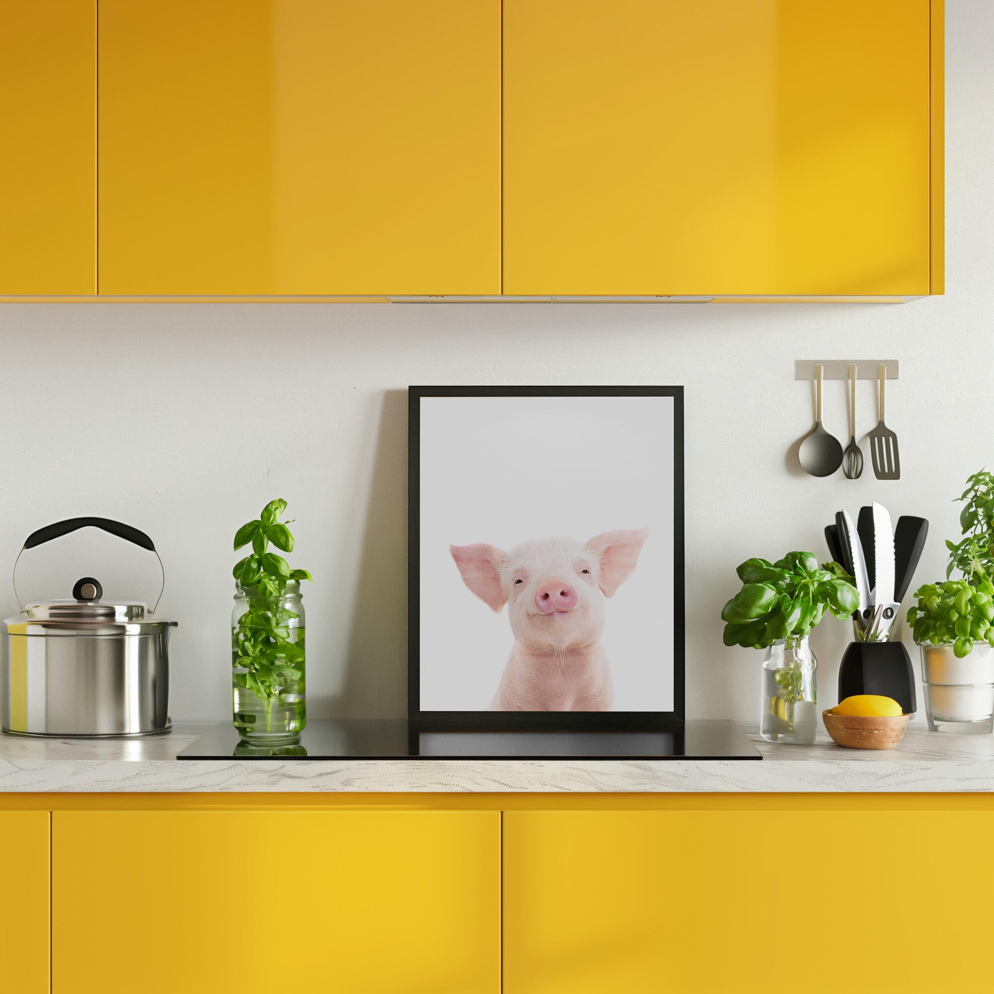 Baby Pig