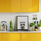 Baby Racoon