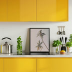 Tropical Palms