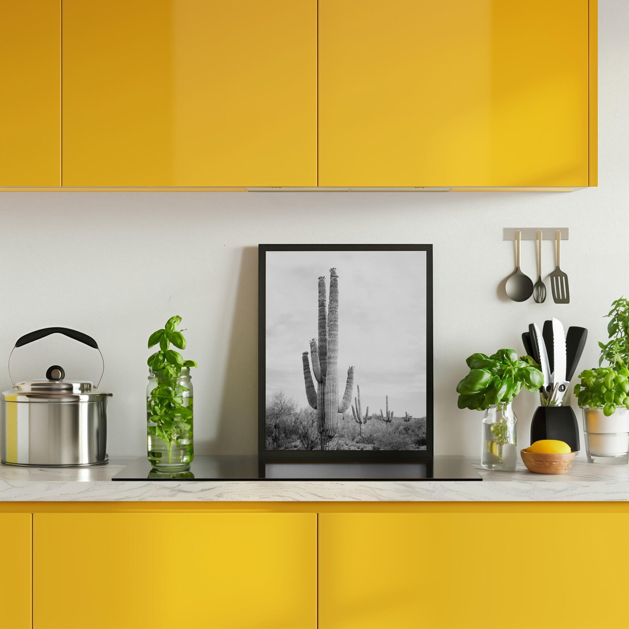 Saguaro B&amp;W