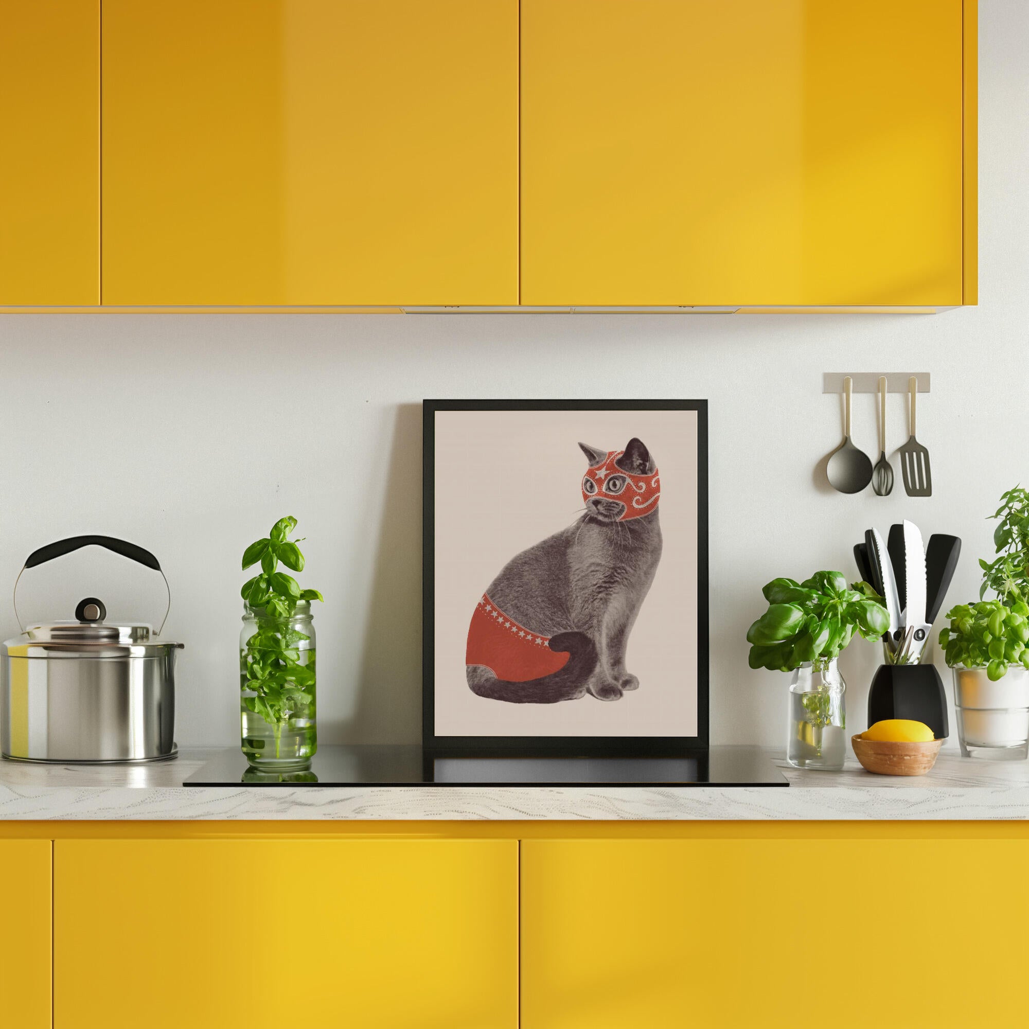 Chat Catcheur