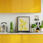 Lemon Harmony