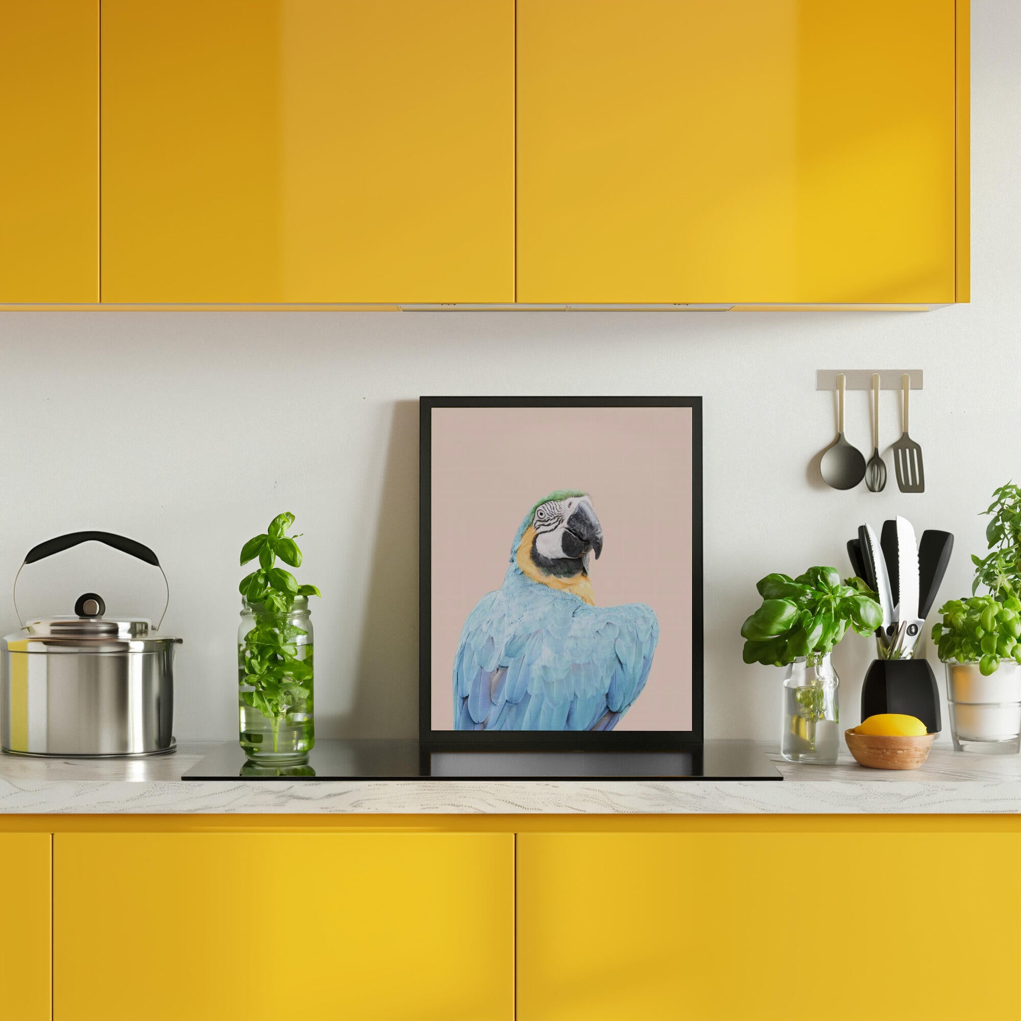 Blue Macaw