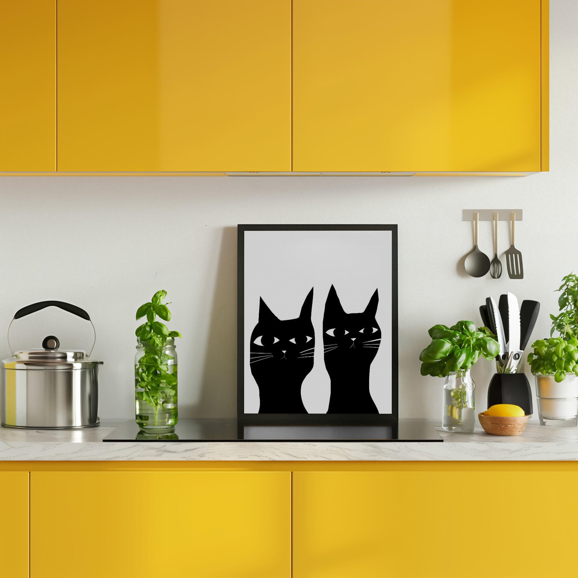 Two black cats