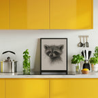 Curious Baby Raccoon