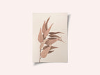 Dried Eucalyptus