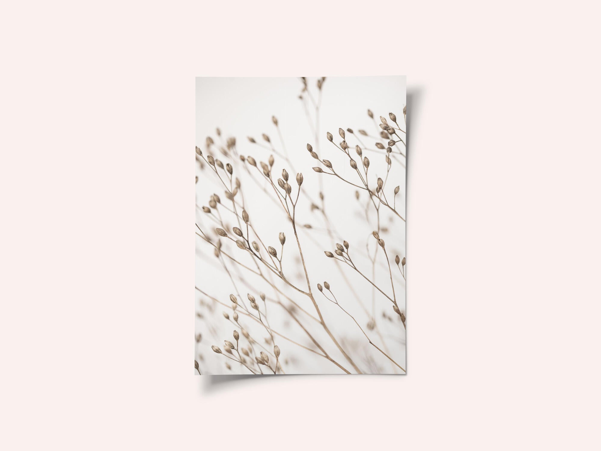 Wild Grass