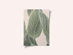 Calla Leaf