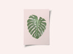Monstera Leaf Blush
