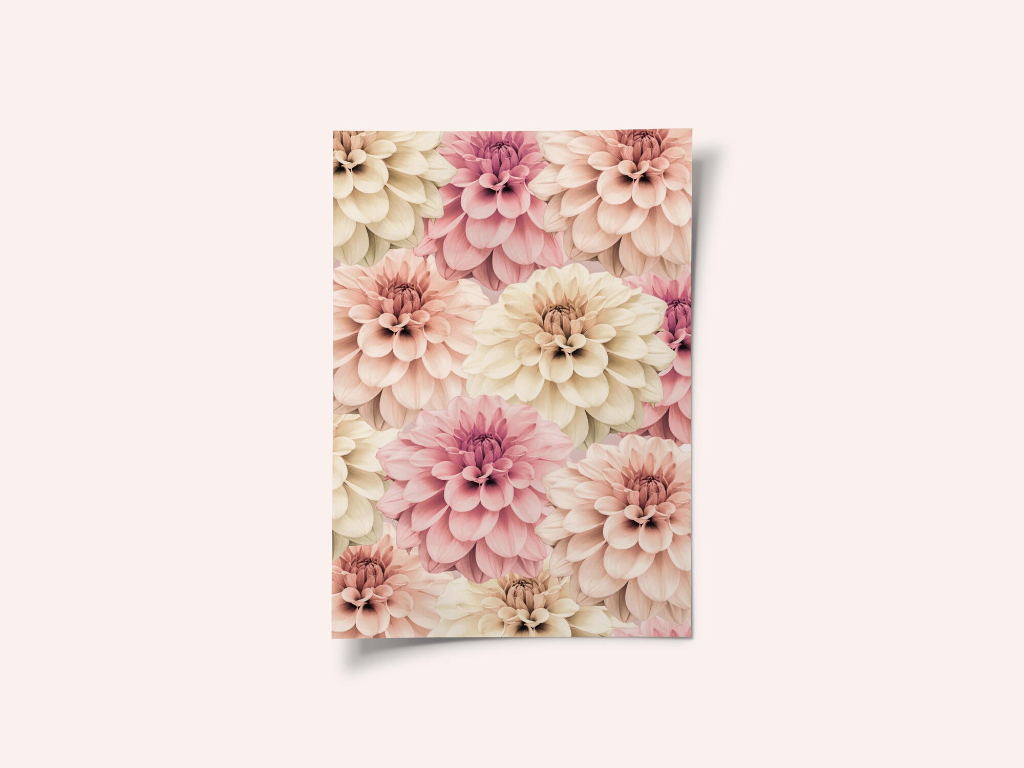 Dahlia