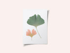 Pastel Ginkgo