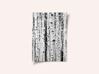 Birches