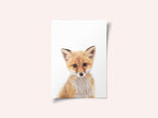 Baby Fox