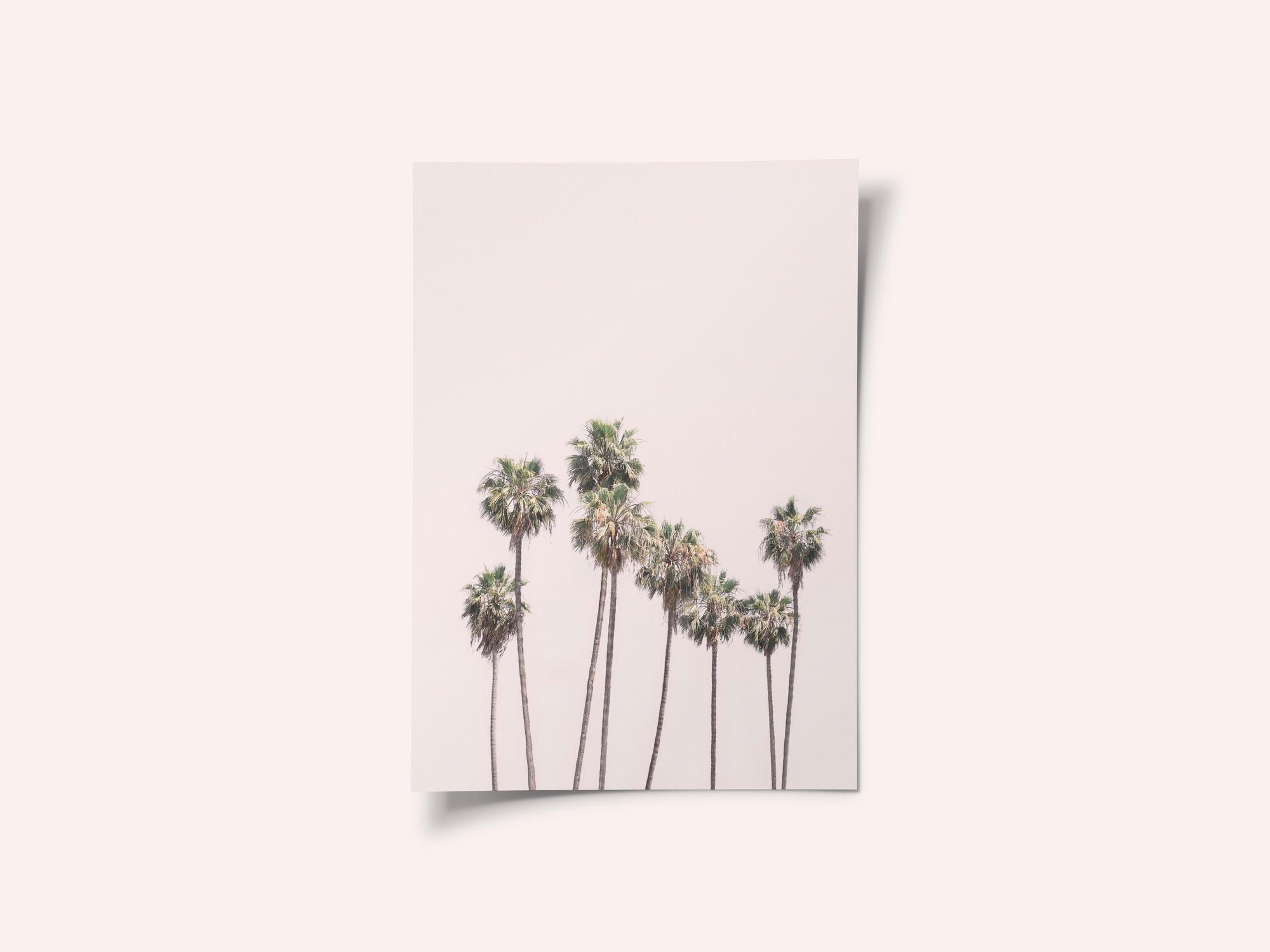 Blush Palms