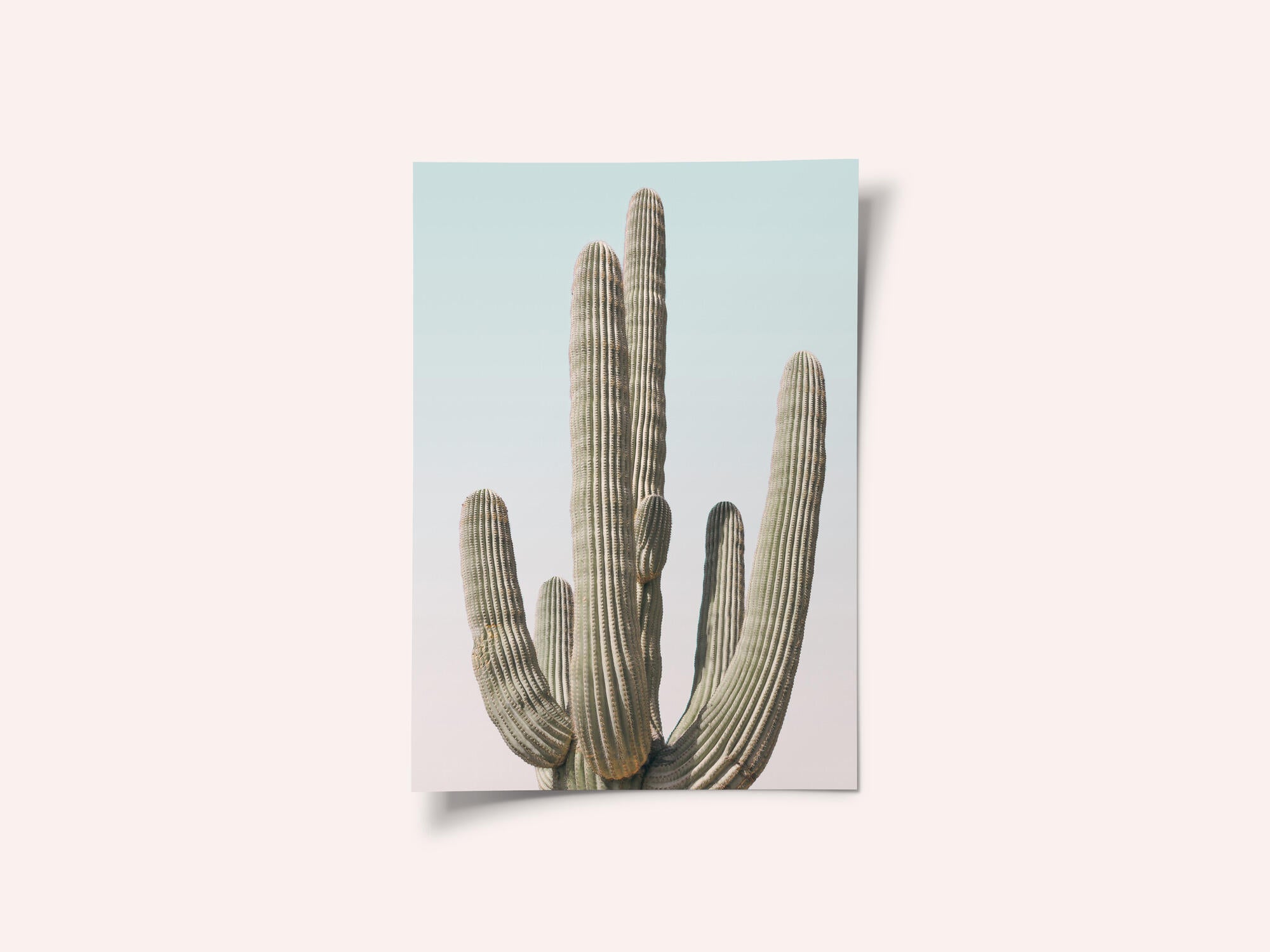 Saguaro