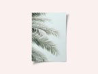 Blue Palms