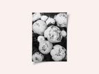 Peonies