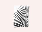 BW Palm Leaf