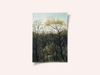 Rendezvous In The Forest