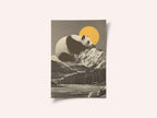 Giant Panda Nap