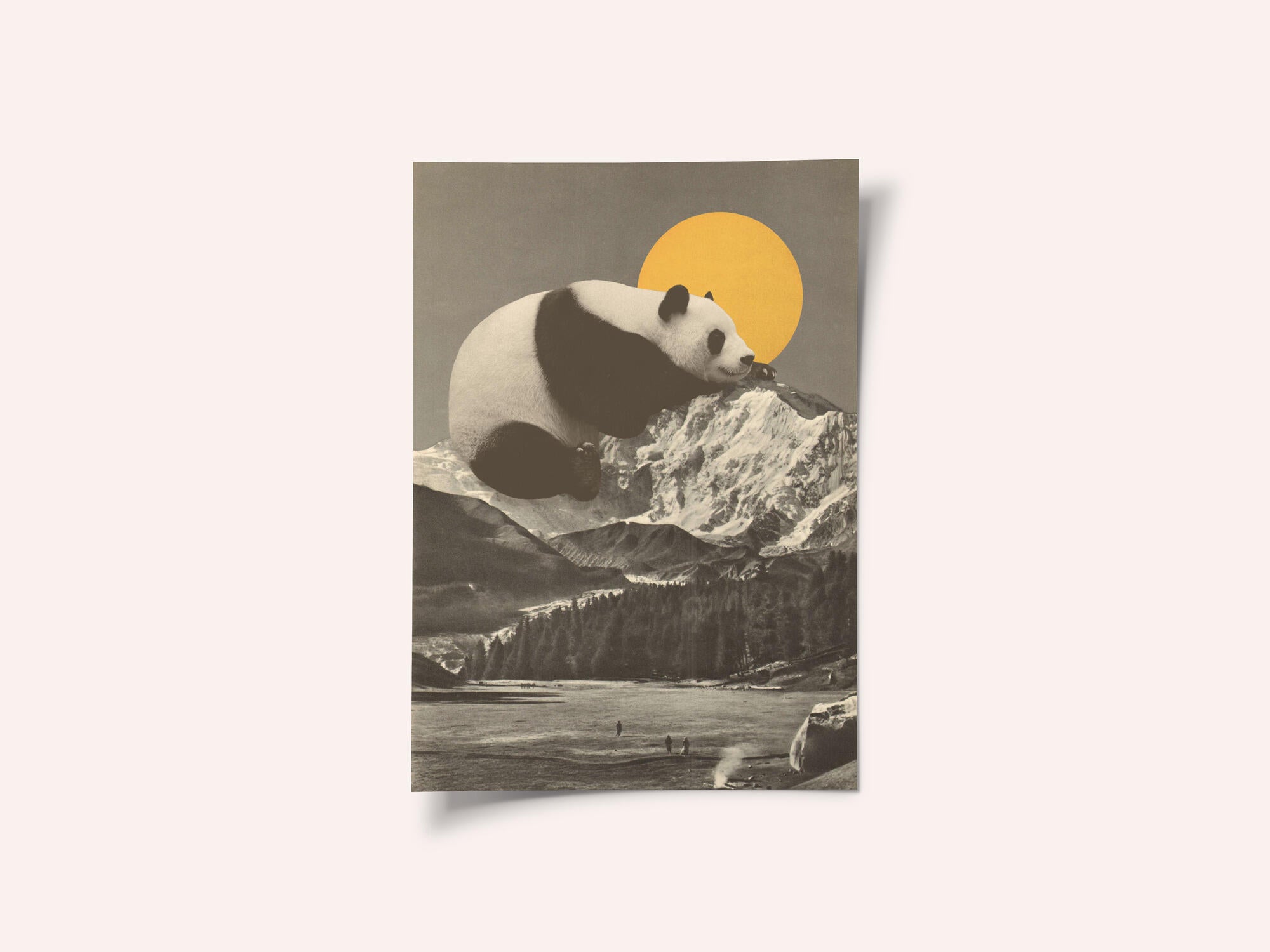 Giant Panda Nap